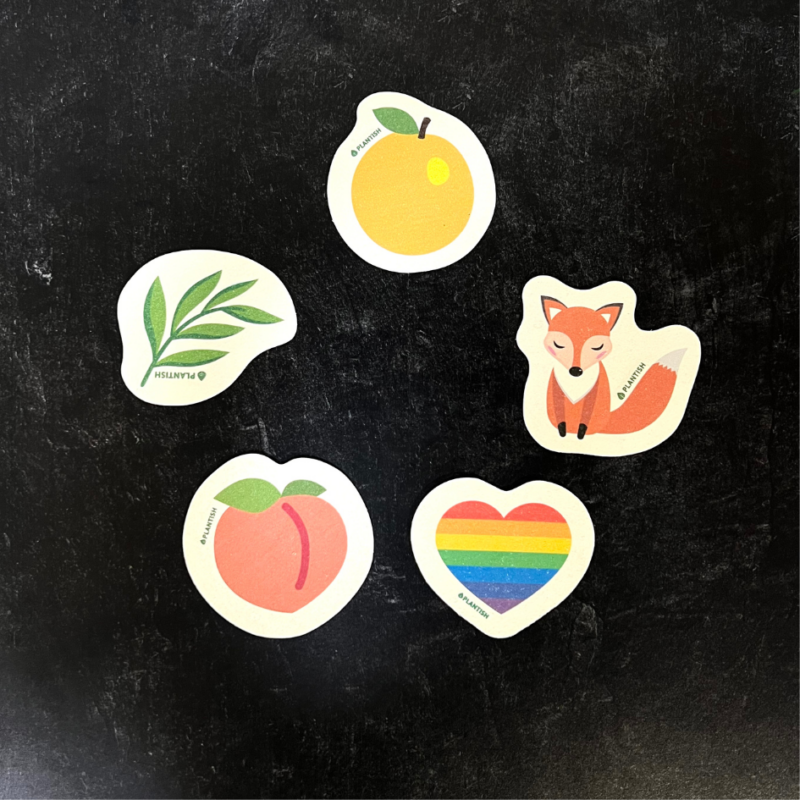 Plantish pop up sponges shaped like a fox, a peach, a rainbow heart, a eucalyptus leaf, and an orange
