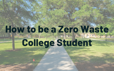 How to be a zero waste college student