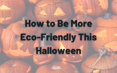 How to be more eco-friendly this Halloween