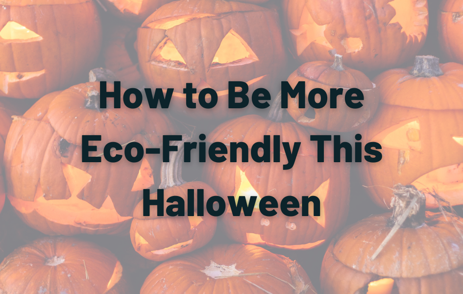How to Be More Eco-Friendly This Halloween text over a photo of carved jack o lanterns